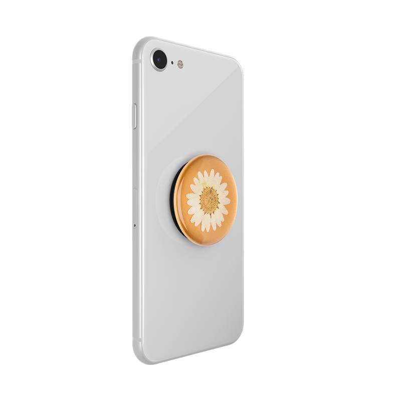 PopSockets Swappable Pressed Flower - White Daisy - Telephone Market