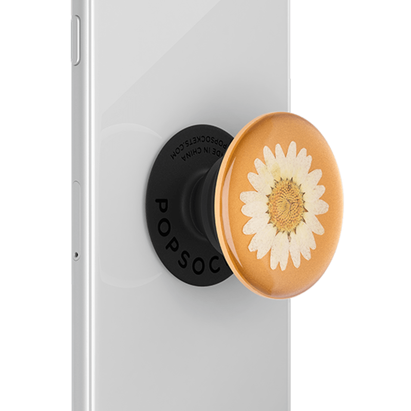 PopSockets Swappable Pressed Flower - White Daisy - Telephone Market