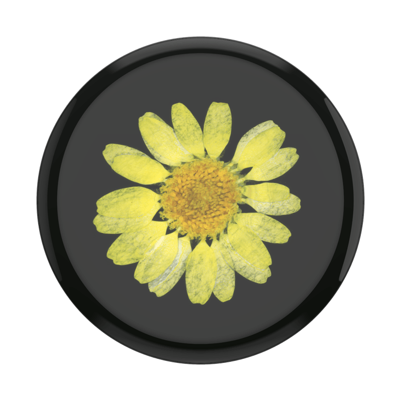 PopSockets Swappable Pressed Flower - Yellow Daisy - Telephone Market